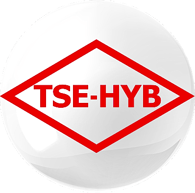 TSE Belgesi